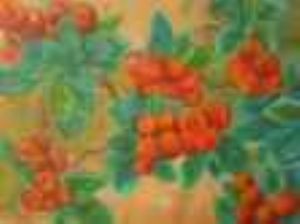 "Beautiful Berries"