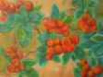 "Beautiful Berries"