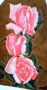 "pink roses"