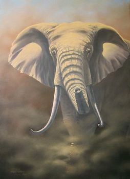 "Elephant Bull - a Study"