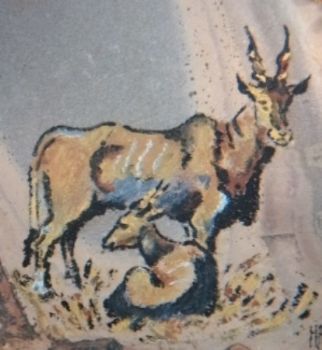 "Eland"