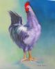 Rooster