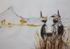 "Nguni 1"