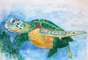 "Sea Turtle 1"