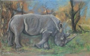 "Rino"