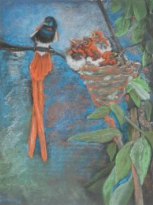 "Flycatcher"