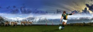 "Springboks in New Zealand"