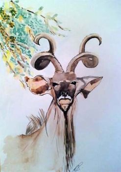 "Kudu I"