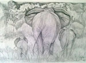 "Elephants Going"