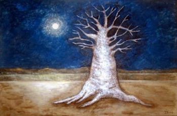 "Old Baobab"