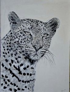 "Leopard"