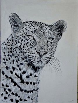 "Leopard"