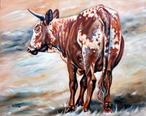 "Nguni 2"