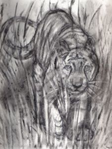 "Ghost Tiger"