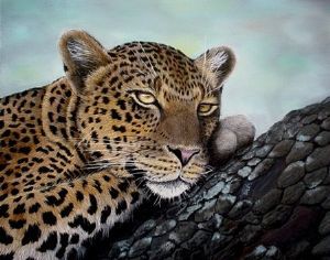 "Lazy Afternoon Rest"