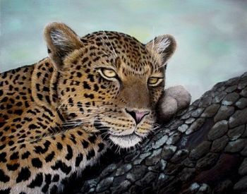 "Lazy Afternoon Rest"