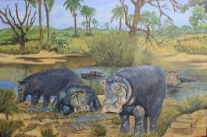 "Hippos"