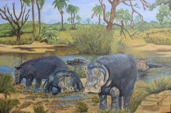 "Hippos"