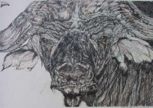 "Tinted Buffalo Portrait"