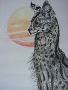 "Servel Sunset"
