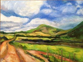 "Road from Napier 2"