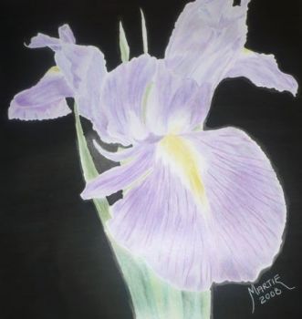 "Iris"