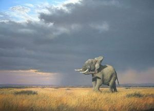 "Approaching Storm"