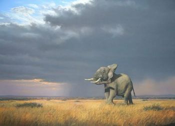 "Approaching Storm"