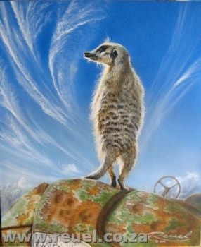 "On the Lookout"