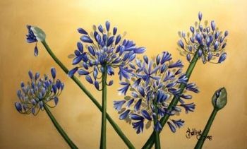 "Agapanthus"