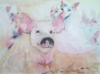 "Pig 1"