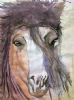 "Wild Horse"
