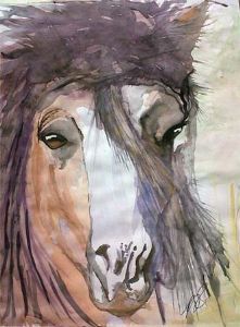 "Wild Horse"