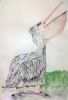 "Pelican I"