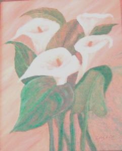 "Arum Lilies"