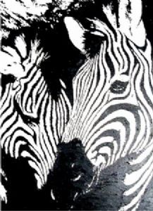 "Zebras"