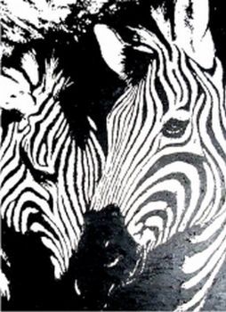"Zebras"