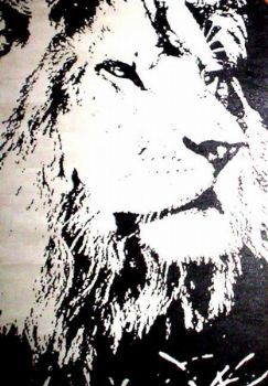 "Simba"