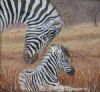"Zebra Caring"