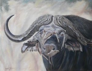 "Old Buffalo Bull"