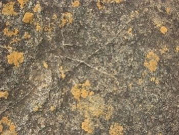 "X Marks the Spot F"