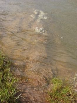 "Submerged Rock"