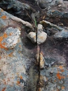 "Untitled Sandstone"