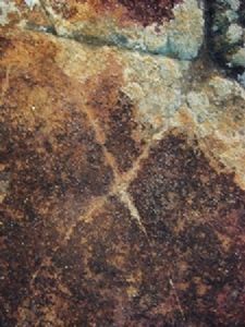 "X Marks the Spot I"