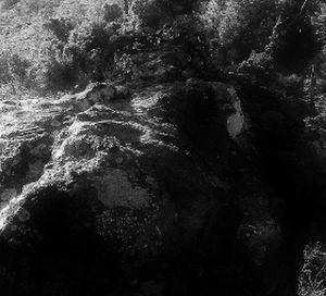"Rock Shade"