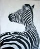 "Zebra #5"