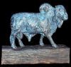 "Brahmen Bull"