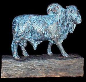 "Brahmen Bull"