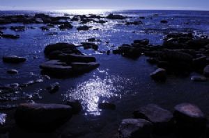 "Shoreline Rocks (1)"