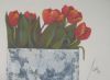 "Red Tulips on Plain Background"